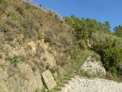 Rustico con terreno a Volastra, Rio Maggiore (SP)