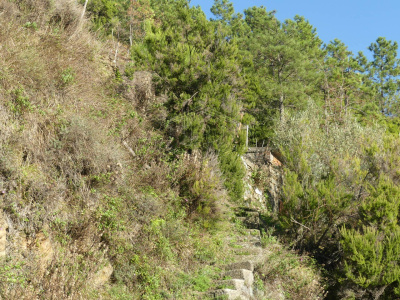 Rustico con terreno a Volastra, Rio Maggiore (SP)