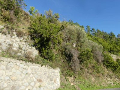 Rustico con terreno a Volastra, Rio Maggiore (SP)