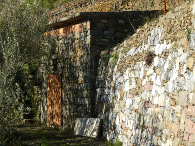 Rustico con terreno a Volastra, Rio Maggiore (SP)