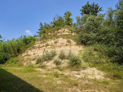 Cascinale con terreno in Via Campia, Cortandone (AT)