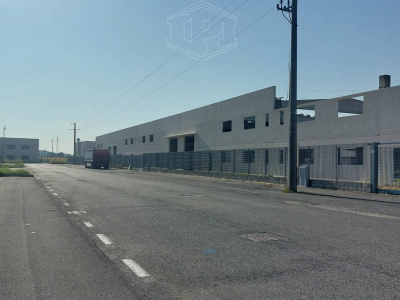 Capannone industriale in Via Mattei 2 - Lotto B - Vellezzo Bellini (PV)