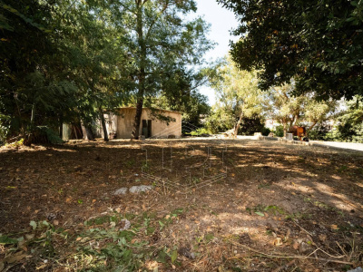 Villa Unifamiliare con giardino privato in Via Torre Ranieri, Napoli (NA)