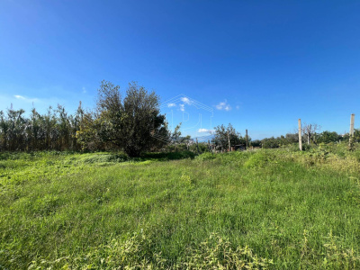 Terreno Agricolo in Via Scalandrone Snc, Pozzuoli (NA)