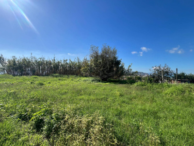 Terreno Agricolo in Via Scalandrone Snc, Pozzuoli (NA)