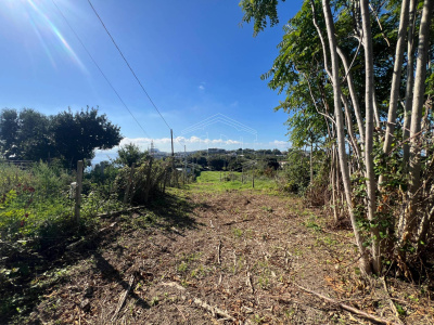 Terreno Agricolo in Via Scalandrone Snc, Pozzuoli (NA)