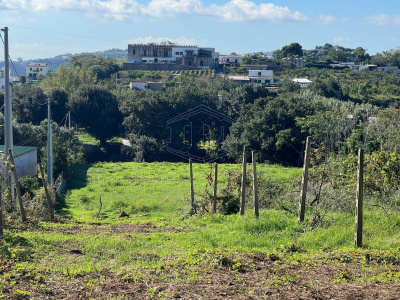 Terreno Agricolo in Via Scalandrone Snc, Pozzuoli (NA)