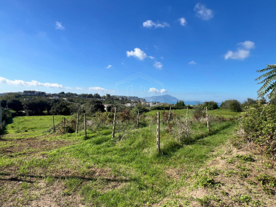 Terreno Agricolo in Via Scalandrone Snc, Pozzuoli (NA)