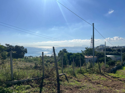 Terreno Agricolo in Via Scalandrone Snc, Pozzuoli (NA)