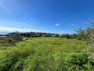 Terreno Agricolo in Via Scalandrone Snc, Pozzuoli (NA)