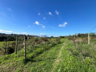 Terreno Agricolo in Via Scalandrone Snc, Pozzuoli (NA)