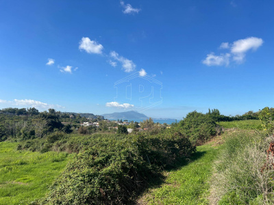 Terreno Agricolo in Via Scalandrone Snc, Pozzuoli (NA)