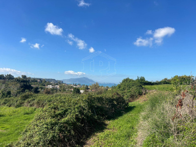 Terreno Agricolo in Via Scalandrone Snc, Pozzuoli (NA)