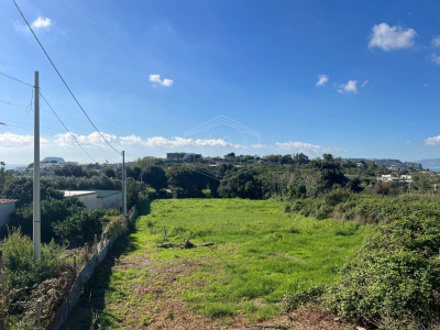 Terreno Agricolo in Via Scalandrone Snc, Pozzuoli (NA)