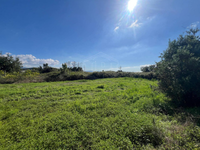 Terreno Agricolo in Via Scalandrone Snc, Pozzuoli (NA)