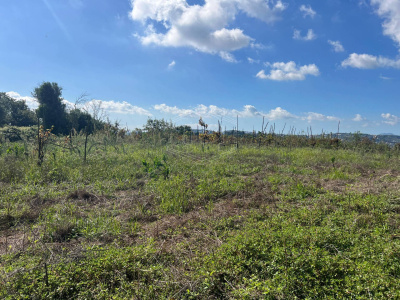 Terreno Agricolo in Via Scalandrone Snc, Pozzuoli (NA)