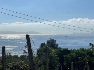 Terreno Agricolo in Via Scalandrone Snc, Pozzuoli (NA)