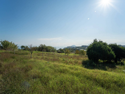 Terreno Agricolo in Via Scalandrone Snc, Pozzuoli (NA)