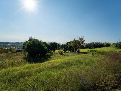 Terreno Agricolo in Via Scalandrone Snc, Pozzuoli (NA)