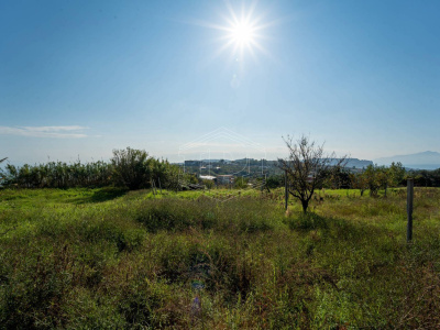 Terreno Agricolo in Via Scalandrone Snc, Pozzuoli (NA)