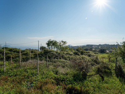 Terreno Agricolo in Via Scalandrone Snc, Pozzuoli (NA)