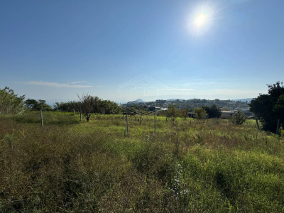 Terreno Agricolo in Via Scalandrone Snc, Pozzuoli (NA)