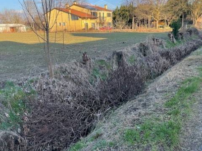 Terreno a Vigonza (PD)