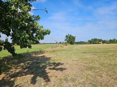 Cascina,  Cascina Nuova Cannona, Carpeneto (AL)