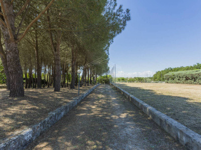 Villa con dependance, giardino privato e piscina sita in Contrada Ceracchia - Noci (BA)