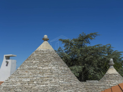 Villa con dependance, giardino privato e piscina sita in Contrada Ceracchia - Noci (BA)